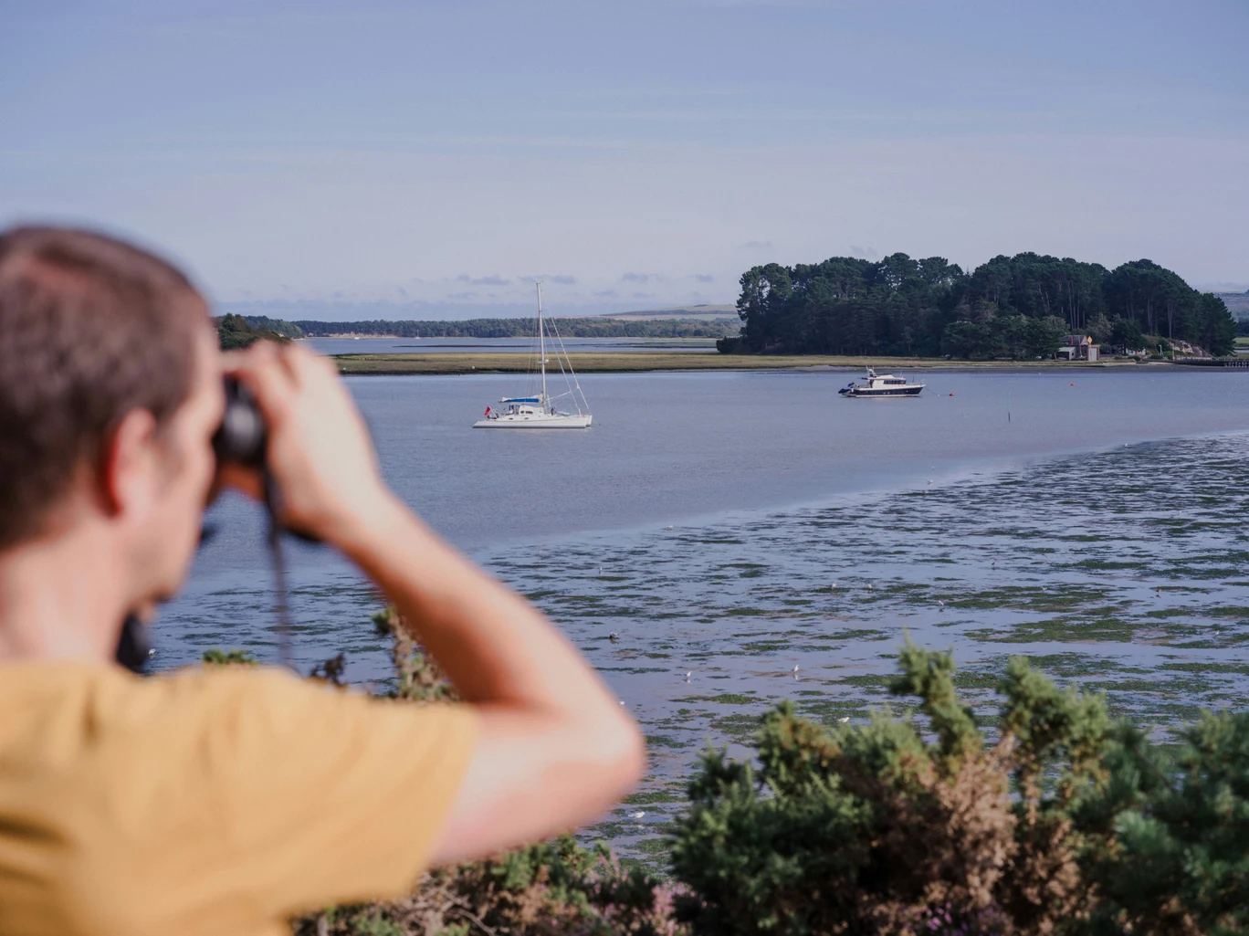 Bird Watching on the UK Coastline